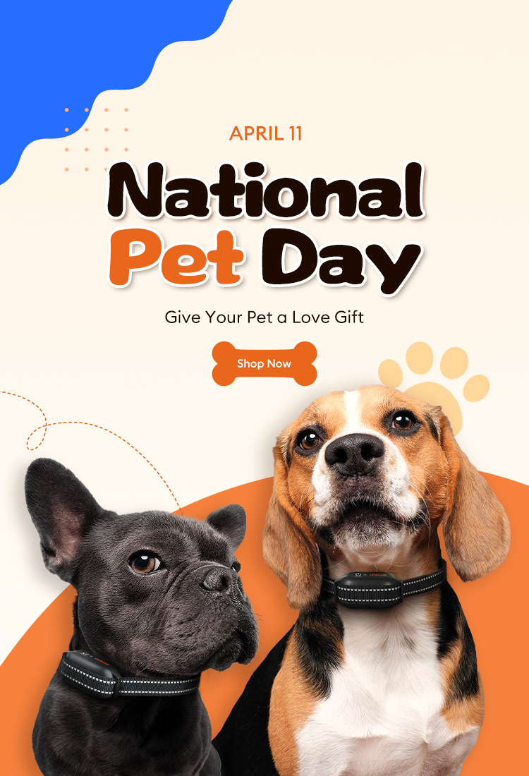 dokoo national pet day sale